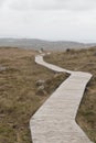 Hikers along the wooden boardwalks in Connemara National Park