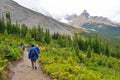 Hikers on the alpine trail in the Canadian Rockies along the Icefields Parkway between Banff and Jasper