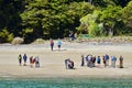 Hikers on the Anchorage beach in Abel Tasman National Park.