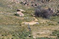 Hikers arriving at start of Wolfberg Cracks and Arch trail Royalty Free Stock Photo