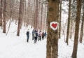 Hikers with backpack hiking on snowy trail. Group of people walking together at winter day. Back view Royalty Free Stock Photo