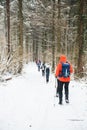 Hikers with backpack hiking on snowy trail. Group of people walking together at winter day. Back view Royalty Free Stock Photo