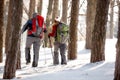 Hikers with backpacks in forest Royalty Free Stock Photo