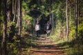 Hikers with backpacks walking trough forest path Royalty Free Stock Photo