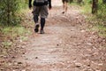 Hikers with backpacks walking trough forest path Royalty Free Stock Photo