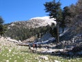 Hikers below a snow capped mountain Royalty Free Stock Photo