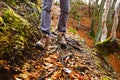 Hikers boots on forest trail. Autumn hiking.