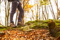 Hikers boots on forest trail. Autumn hiking.