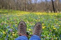 Hikers boots on meadow