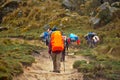 Hikers and burro donkey trekking along the Santa Cruz trek Huascaran National Park