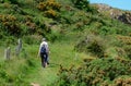 Hikers climb the Little Orme