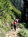 Hikers climbing steep mountain trail