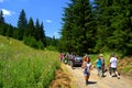 Hikers climbing up mountain trail