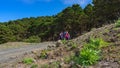 Hikers entering a forest on the island of El Hierro. Royalty Free Stock Photo