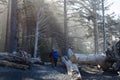 Hikers entering forest Royalty Free Stock Photo