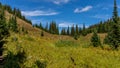 Hikers following a trail through the alpine meadows