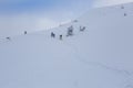 Hikers go on an alpine path among a snow covered spruce trees