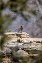 Hikers At Grand Canyon National Park Royalty Free Stock Photo