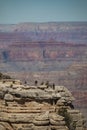 Hikers At Grand Canyon National Park Royalty Free Stock Photo
