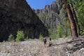 Little Bear Canyon Hike Royalty Free Stock Photo