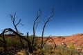 Hikers in Kings Canyon. Watarrka National Park. Northern Territory. Australia Royalty Free Stock Photo