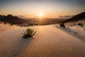 Hikers making their way through a rocky desert landscape, with sand dunes and cacti stretching to the horizon Royalty Free Stock Photo