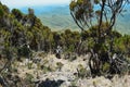 Hikers in the Elephant Hill, Aberdare Ranges, Kenya Royalty Free Stock Photo