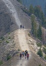 Hikers on a Mountain Top Trail