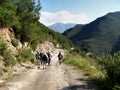 Hikers on a Mountain Track Royalty Free Stock Photo