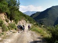 Hikers on a Mountain Track