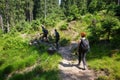 Hikers on the mountain trail Royalty Free Stock Photo