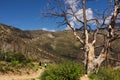 Hikers on a mountain trail Royalty Free Stock Photo