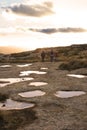 Hikers Near Rock Pools