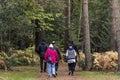 Senior Hikers in New Forest