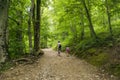 Hikers on the path to Smarna gora, a popular hike from Ljubljana Royalty Free Stock Photo