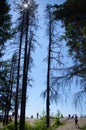 Hikers at Quarry Rock Royalty Free Stock Photo