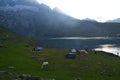 Hikers resting at base camp. Camping tents near the lake enjoying summer holidays.