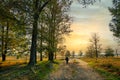 Hikers on a sandy path in the Aekingerzand landscape, part of the Drents-Friese Wold National Park