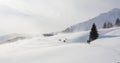 Snowstorm in the mountains at winter time. Mountains of Trentino Alto Adige, South Tyrol Royalty Free Stock Photo