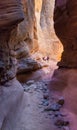 Hikers in slot canyon Royalty Free Stock Photo