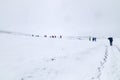 Hikers under a hard snowfall