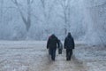 Hikers stroll in winter Royalty Free Stock Photo