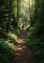 Hikers on a Sunlit Forest Path Royalty Free Stock Photo