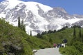 Hikers on trail above Paradise with Mount Rainier