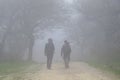 Hikers in a trail in a foggy day
