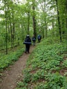 Hikers on the trail in nature hiking backpacking