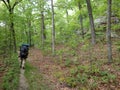 Hikers on the trail in nature hiking backpacking