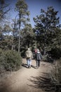 Hikers on a trail Royalty Free Stock Photo
