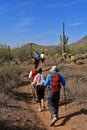 Hikers traveling a path through a desert