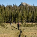 Hikers Traverse the Trail Toward Ragged Peak in Yosemite